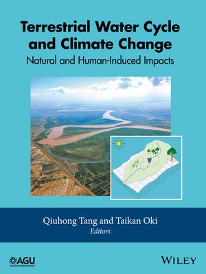 cover image of The Terrestrial Water Cycle
